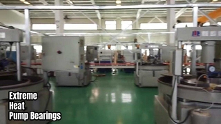 Ρουλεμάν αντλίας ακραίων θερμοκρασιών Καρβίδιο πυριτίου