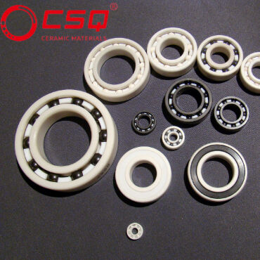 Hybrid Ceramic Bearings for Stainless Steel Application with High Efficiency and Customized Support